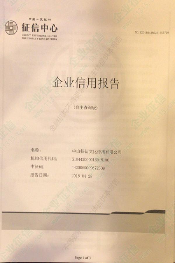 2018年中山畅新文化传播有限公司中国人民银行征信中心企业信用报告